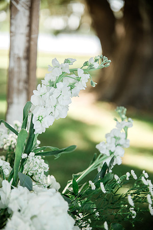 K&Lwedding-454