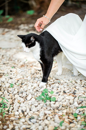 T&Jwedding-221