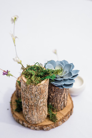 T&Jwedding-23