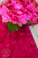 ABCmay-16