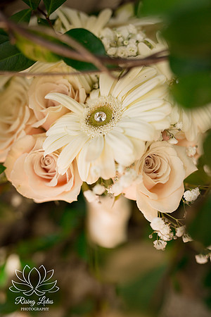 lauraanddavid-8