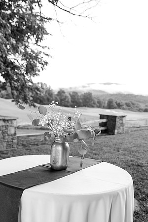 L&JWedding-734