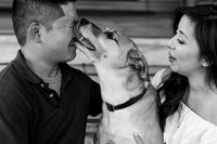 engagement preview-13