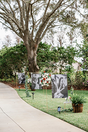 wedding (281 of 1462)