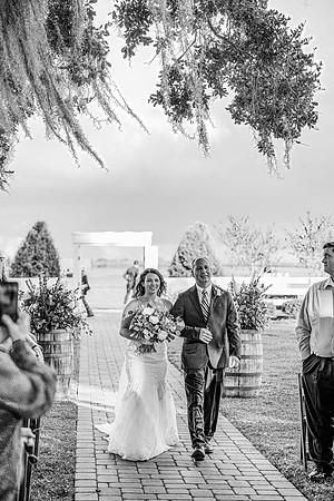 wedding-501