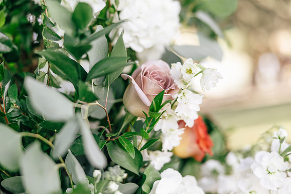 wedding-446
