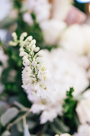 wedding-851
