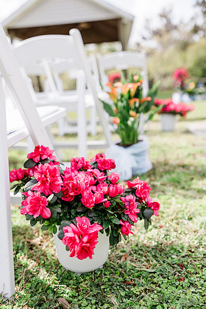 wedding-576