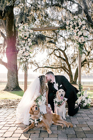 Pets in Weddings, International wedding photographer