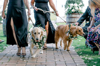 Pups down the aisle Ocala wedding photographer