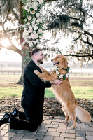 Pets in Weddings, International wedding photographer