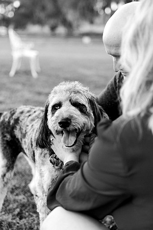 engagement-19