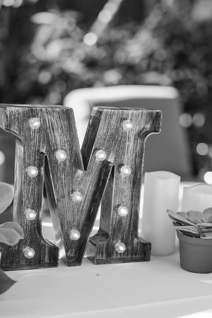 wedding-478