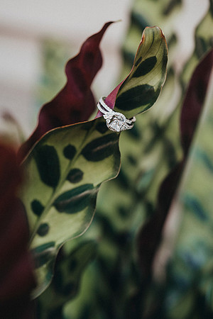 wedding-37