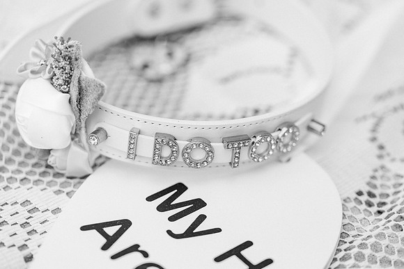 wedding-46