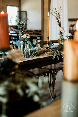 boho -101