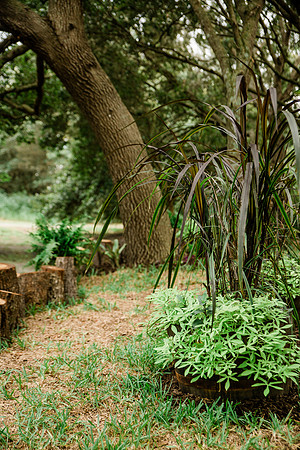 M&BWedding-374