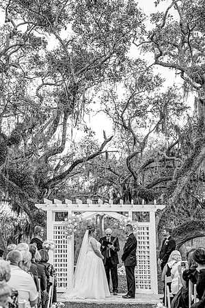 wedding-583