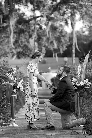 proposal-43
