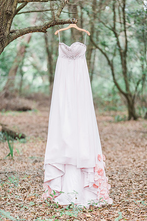 Award Winning Wedding Photographer