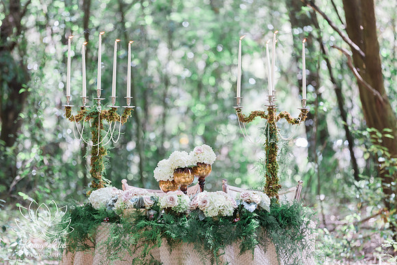 Ocala Award Winning Wedding Photographer
