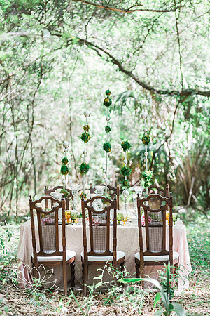 Ocala Award Winning Wedding Photographer