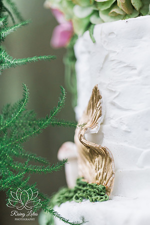 Award Winning Wedding Photographer