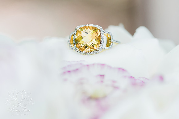 Award Winning Wedding Photographer