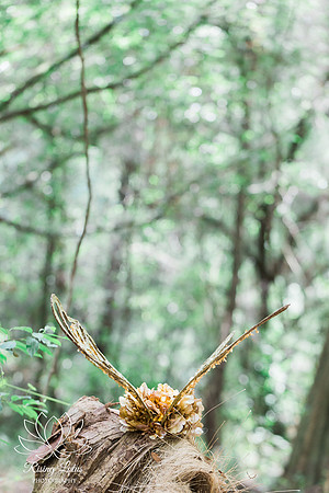 Award Winning Wedding Photographer