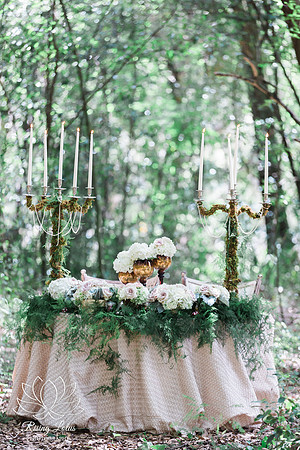 Ocala Award Winning Wedding Photographer