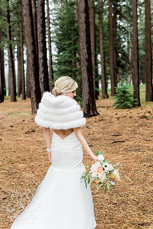 Destination wedding Lake Tahoe, Neveda wedding photographer, top wedding photography west coast