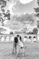 Engagement-13