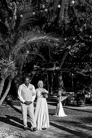 wedding-557