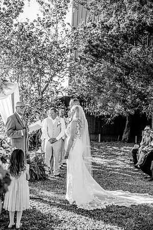 wedding-623