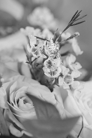 wedding preview-6