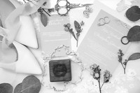 wedding preview-2