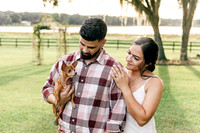 engagement-14