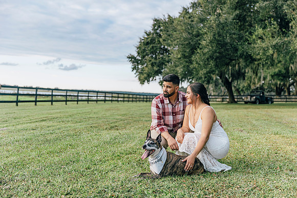 engagement-17