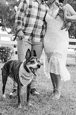 engagement-24