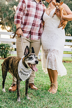 engagement-23