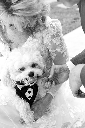 M&Jwedding-526