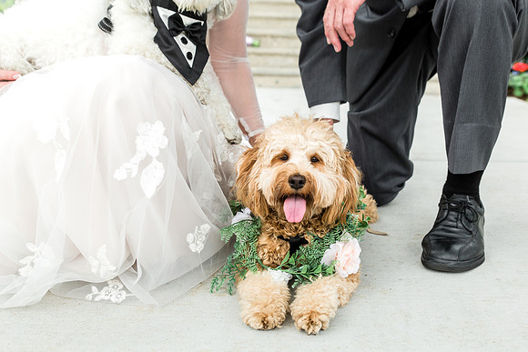 M&Jwedding-519