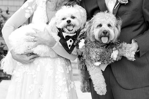 M&Jwedding-509