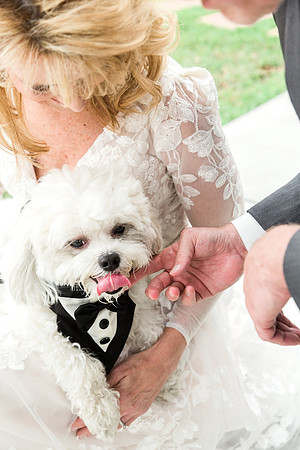 M&Jwedding-525