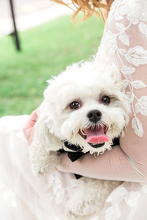 M&Jwedding-533