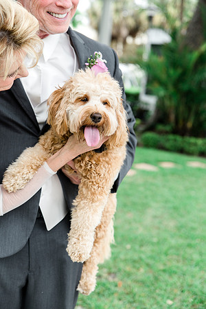 M&Jwedding-476