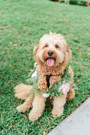 M&Jwedding-529