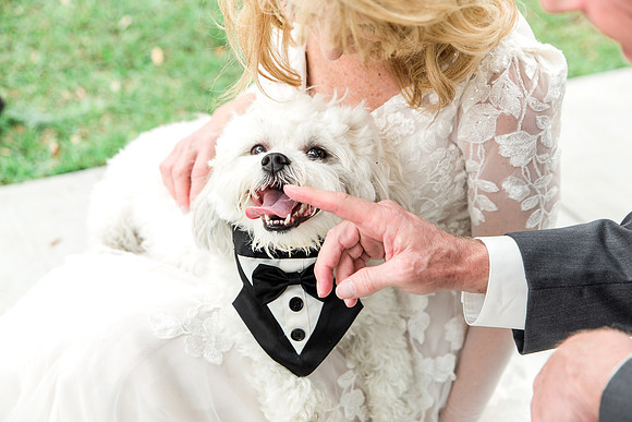 M&Jwedding-528