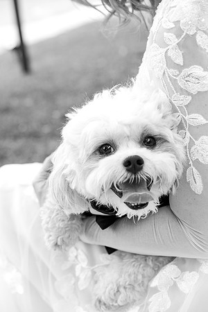 M&Jwedding-534