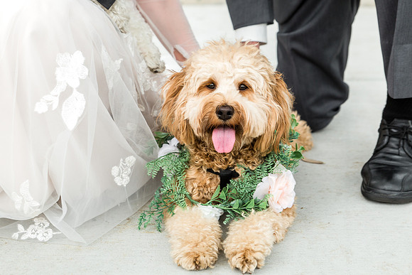 M&Jwedding-520